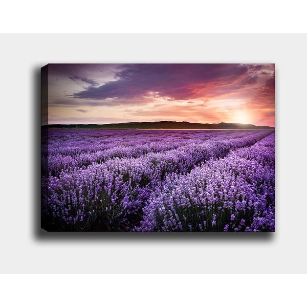 Dipinto 100x70 cm Lavender Field - Wallity-image-2