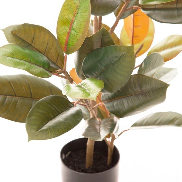 Ficus artificiale (altezza 90 cm) Ficus - Ixia-image-2