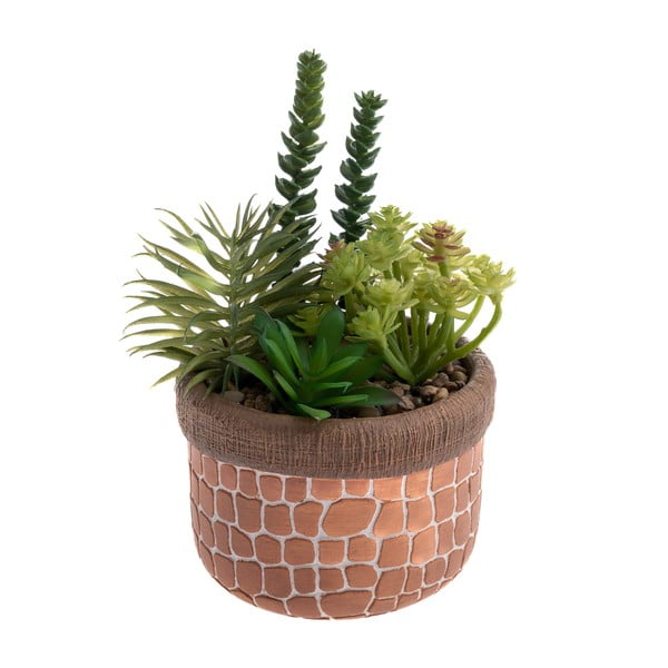 Succulenta artificiale (altezza 17 cm) - Dakls