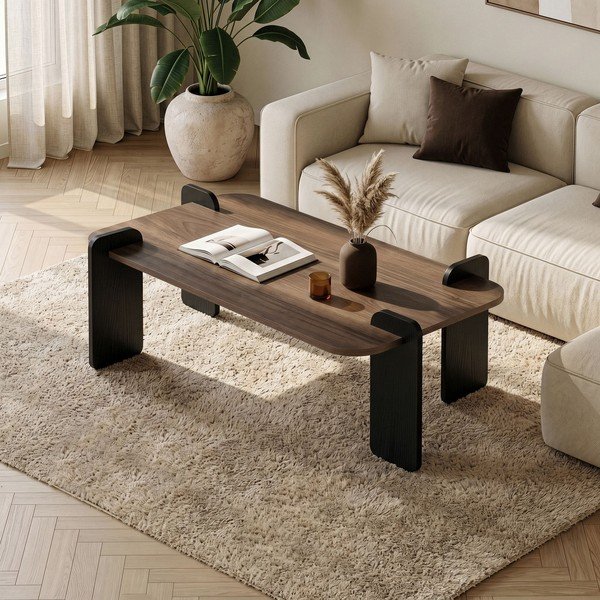 Tavolino da salotto marrone 60x120 cm Renard – Nordure-image-1