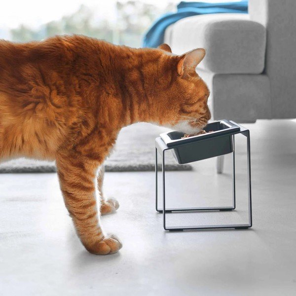 Ciotola con supporto in ceramica per animali domestici Nooks – YAMAZAKI-image-1