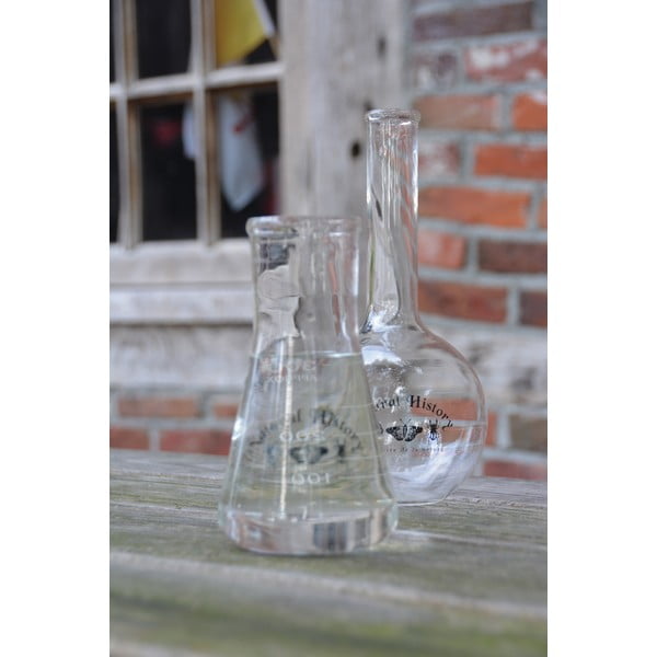 Vaso in vetro (altezza 23 cm) Natural History - Esschert Design-image-1