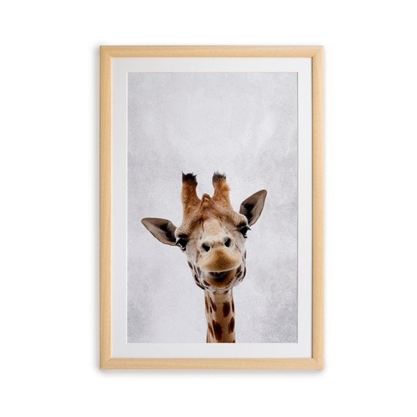 Pittura murale in cornice , 30 x 40 cm Giraffe - Surdic
