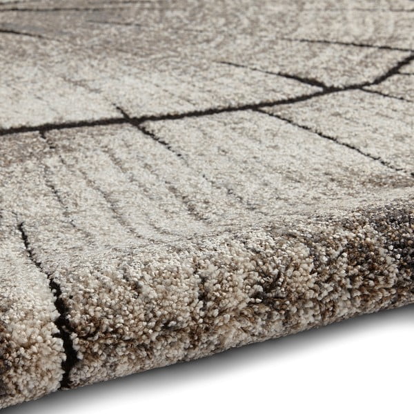 Tappeto beige 230x160 cm Woodland - Think Rugs-image-2