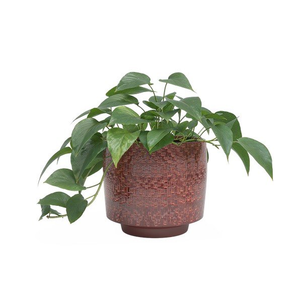 Coprivaso in ceramica ø 21 cm Minerva – Artevasi