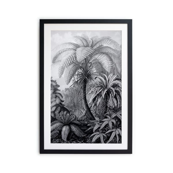 Poster in bianco e nero Palm, 60 x 40 cm BW Palm - Surdic