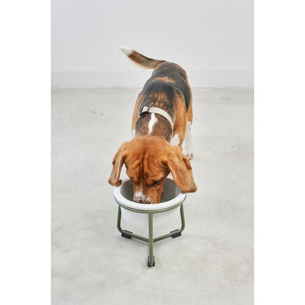 Ciotola con supporto in porcellana per cane ø 20 cm Pranzo Grolive M – MiaCara-image-1