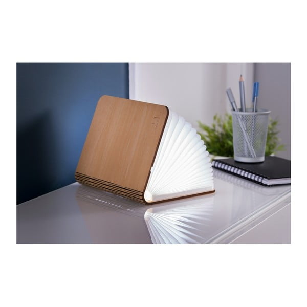 Decorazione luminosa di colore naturale con ricarica USB Booklight – Gingko-image-4