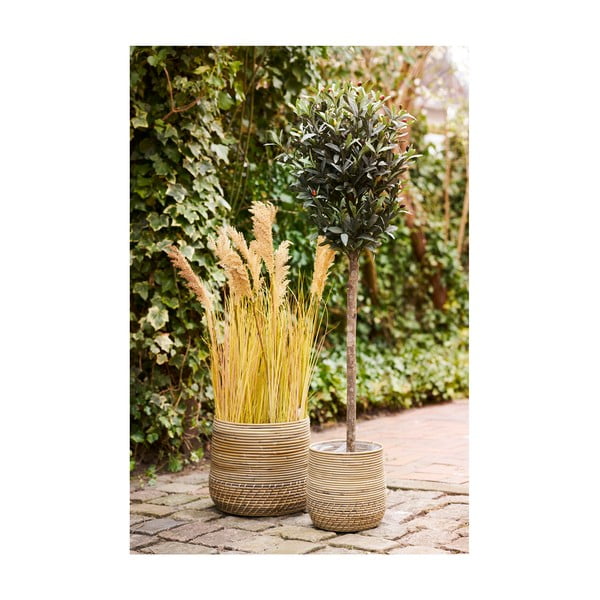 Set di cesti in rattan 2 pz ø 39x35 cm Moro – House Nordic-image-2