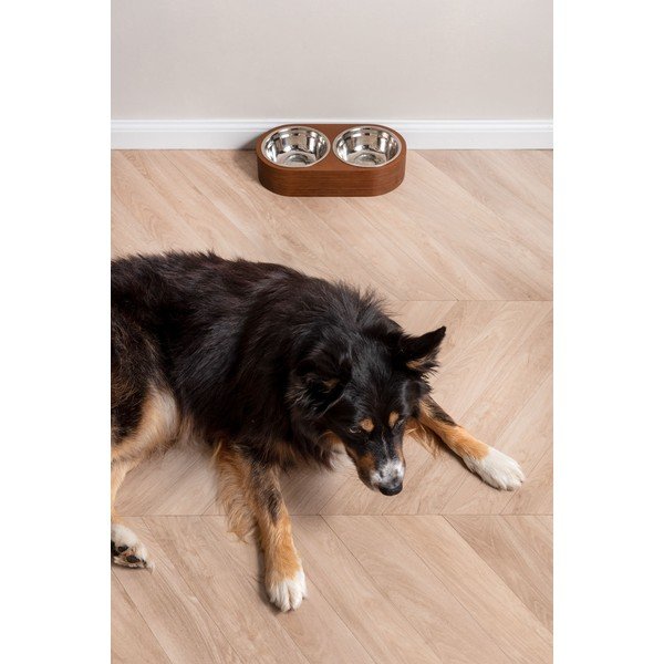 Set di 2 ciotole in metallo con base in legno scuro Pet, larghezza 18 cm Dinner Time - PT LIVING-image-1