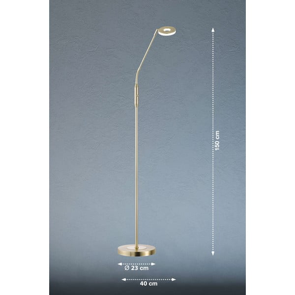 Lampada da terra a LED dimmerabile in oro (altezza 150 cm) Dent - Fischer & Honsel-image-2
