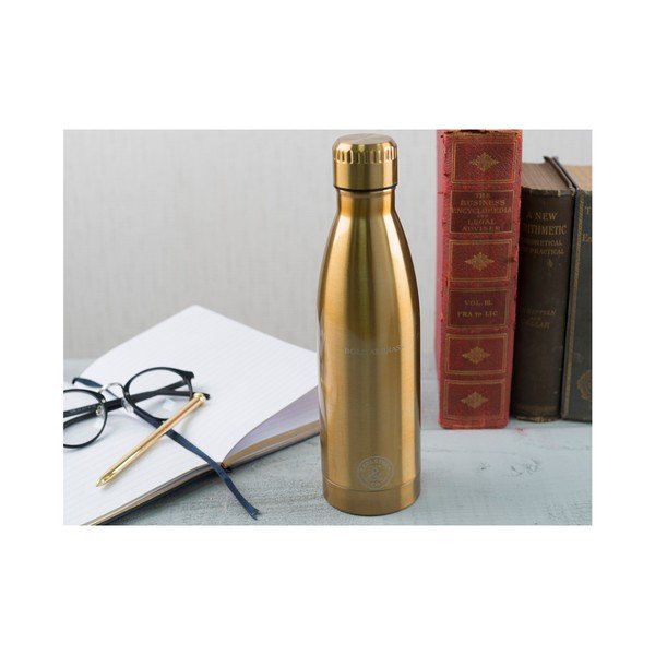 Bottiglia da viaggio in acciaio inox Creative Tops Earlstree, 550 ml - Creative Tops-image-3