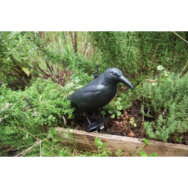 Spaventapasseri in plastica Crow - Esschert Design-image-3