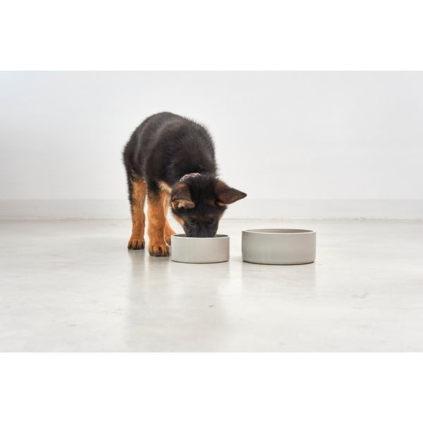 Ciotola in porcellana per cani ø 20 cm Scodella Greige M/L - MiaCara-image-1
