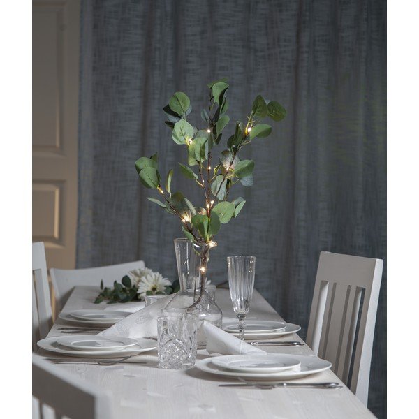 Decorazione luminosa a LED verde, lunghezza 90 cm Eucalyptus - Star Trading-image-4