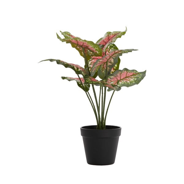 Pianta finta (altezza 40 cm) Caladium - Light & Living