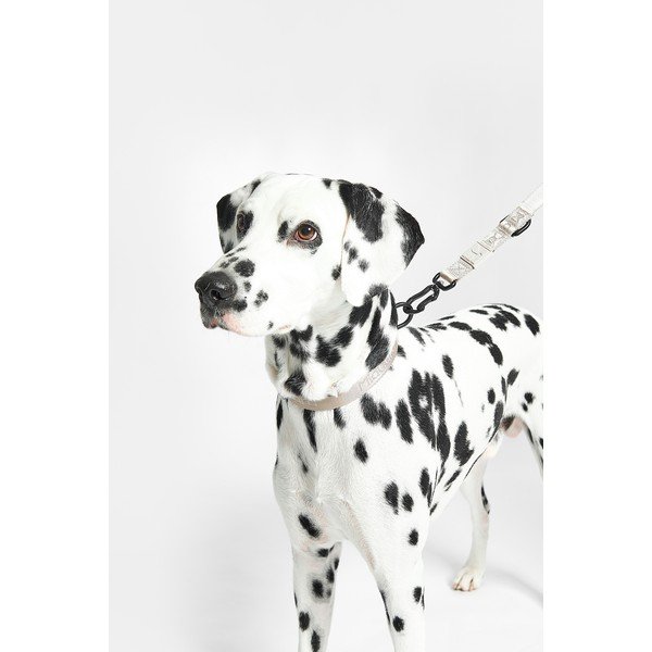 Collare grigio scuro taglia L/XL lunghezza 40 cm Modena Asphalt L/XL - MiaCara-image-4