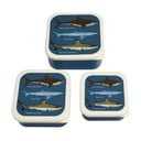 Portapranzo per bambini blu scuro 3 pz Sharks – Rex London