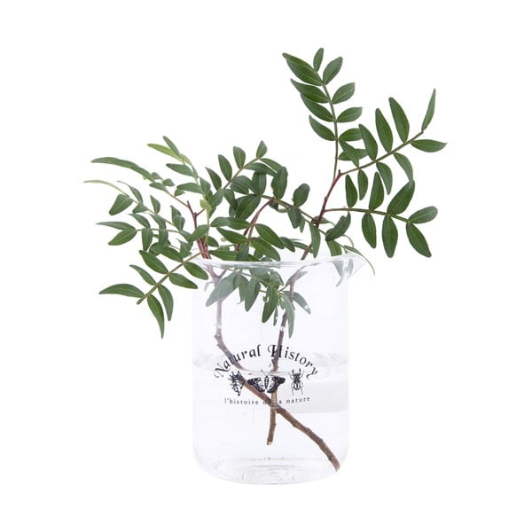 Vaso in vetro (altezza 12 cm) Natural History - Esschert Design-image-1