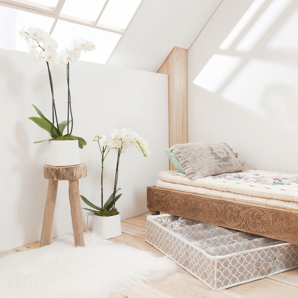 Contenitore beige per scarpe sotto il letto, lunghezza 76 cm Madison - Compactor-image-3