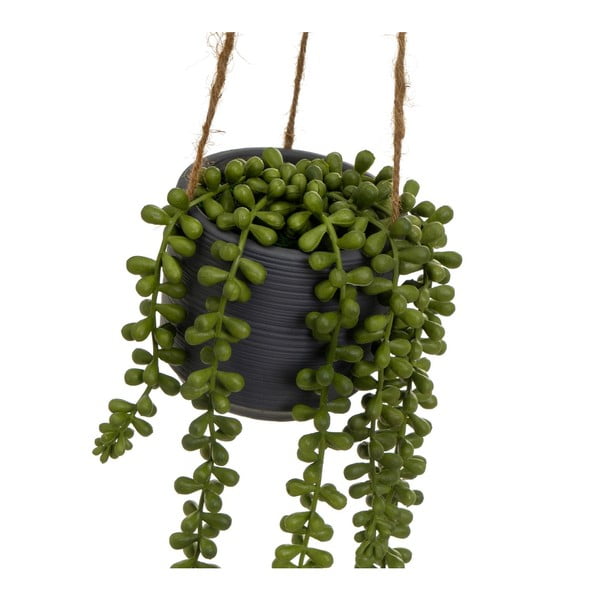 Pianta artificiale (altezza 37 cm) Senecio - Casa Selección-image-1