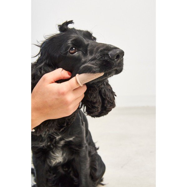 Set di 3 spazzolini per animali domestici Dito - MiaCara-image-1