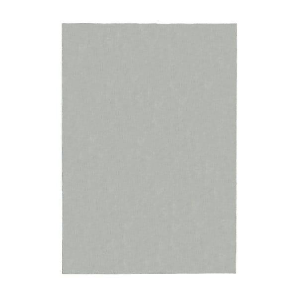 Tappeto grigio chiaro 140x200 cm - Flair Rugs