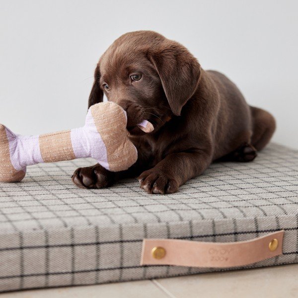 Giocattolo per cani Ashi – OYOY Living Design-image-1