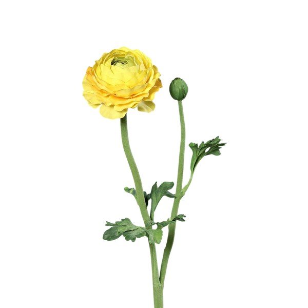 Fiore artificiale (altezza totale 50 cm) Buttercup – Ego Dekor