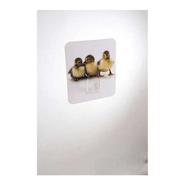 Gancio a muro Magic Ducks - Compactor