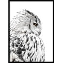 Poster in cornice 50x70 cm Owl - Styler