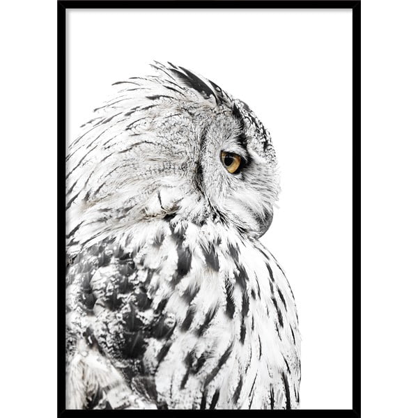 Poster in cornice 50x70 cm Owl - Styler