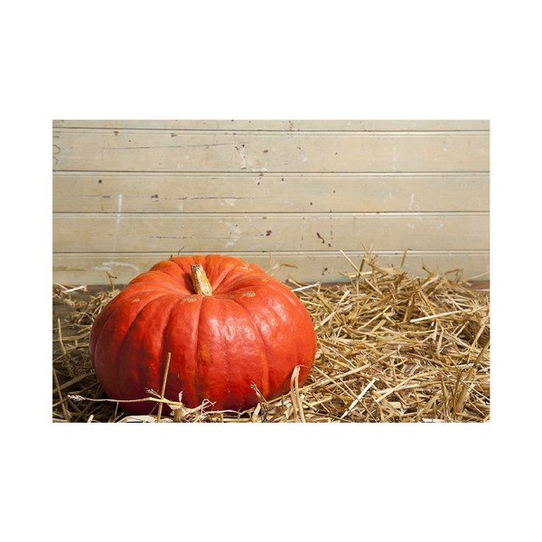 Tappetino in vinile Zucca, 52 x 75 cm - Zerbelli