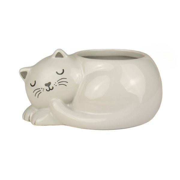 Coprivaso in ceramica Sleeping Cat – Sass & Belle