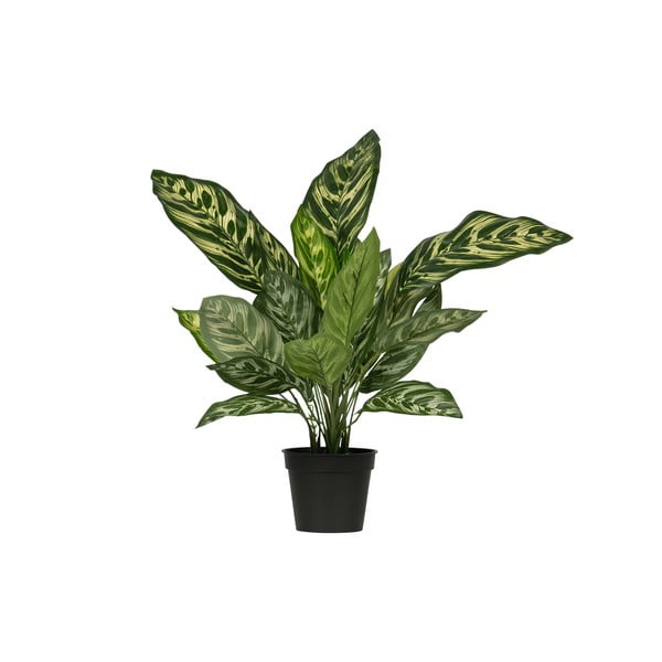 Aglaonema artificiale, altezza 50 cm - WOOOD