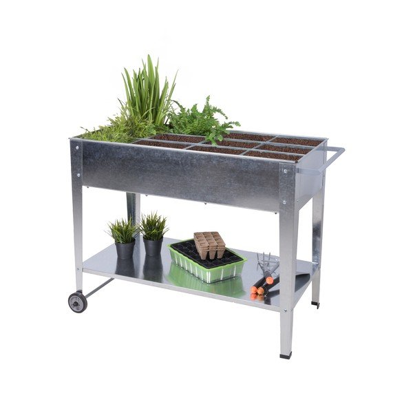 Cassetta rialzata per coltivazione Mariegold - Garden Pleasure-image-2