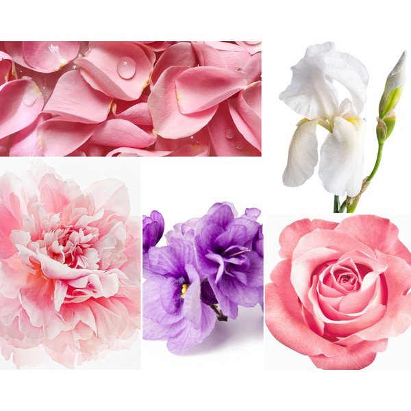 Diffusore a bastoncino , 200 ml Rose Pivoine - Privé Home-image-1
