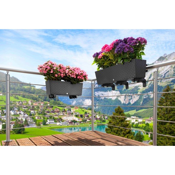 Scatola 50 cm Supreme - Flower Lover-image-1