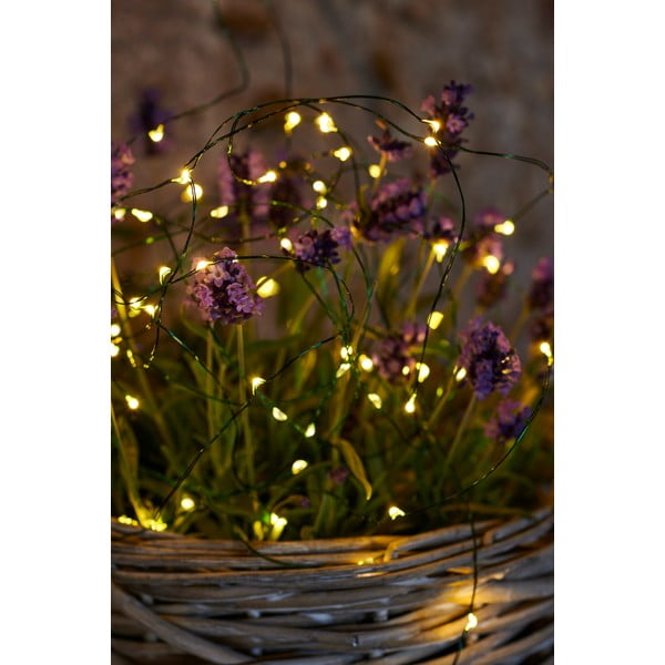 Catena luminosa numero di lampadine 40 pezzi lunghezza 390 cm Knirke - Sirius-image-1