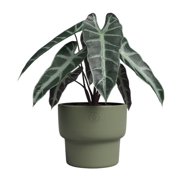 Vaso in ceramica fatto a mano ø 17 cm Echo - Artevasi-image-2