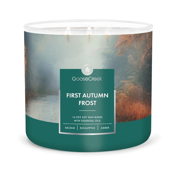 Candela profumata, durata di combustione 35 h First Autumn Frost - Goose Creek