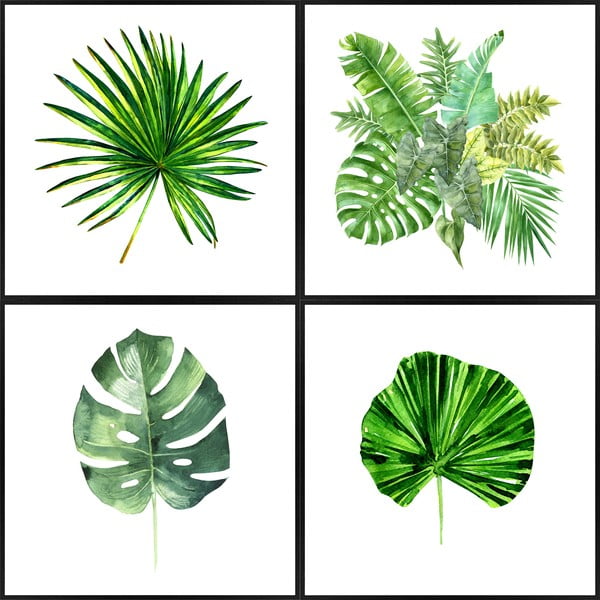 Quadri in set di 4 pezzi 30x30 cm Monstera - knor