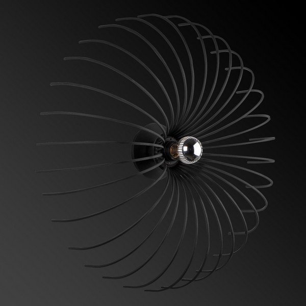 Lampada da parete nera Lion - Homemania Decor-image-3