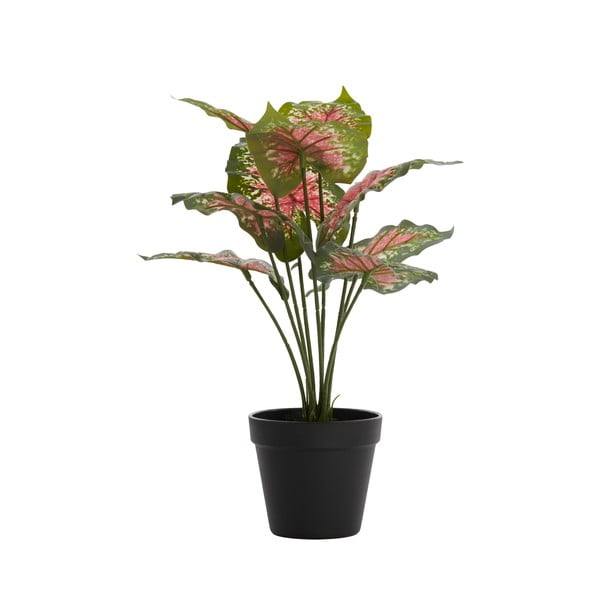 Pianta finta (altezza 40 cm) Caladium - Light & Living-image-1