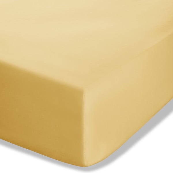 Lenzuolo con angoli giallo in percalle 90x190 cm Easy Iron Percale – Catherine Lansfield