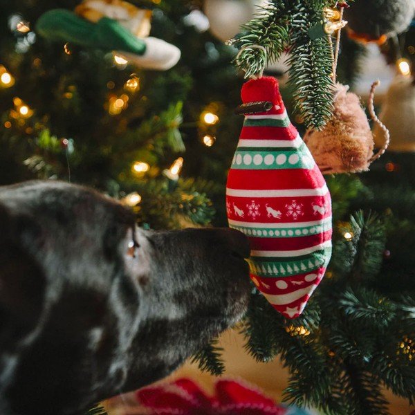 Giocattolo per cani ornamento natalizio Pace e Gioia - P.L.A.Y.-image-1