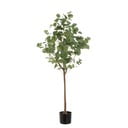 Eucalipto artificiale - Casa Selección