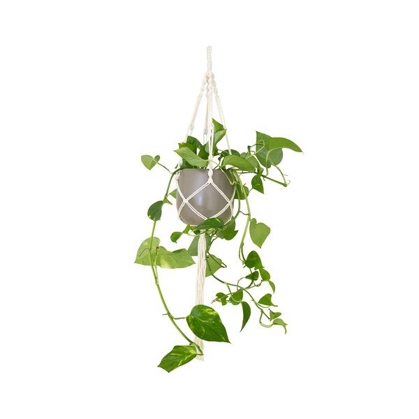 Gancio in stoffa per vaso ø 13 cm (altezza 100 cm) Macramé - Artevasi