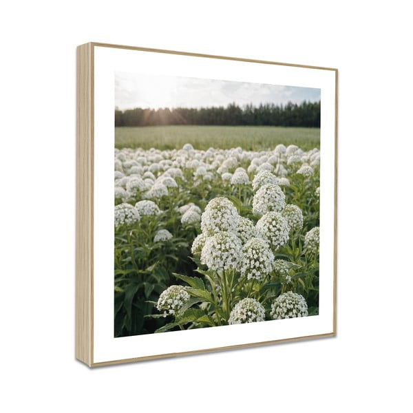 Quadri in set di 4   30x30 cm Sunrise Hike  -image-4