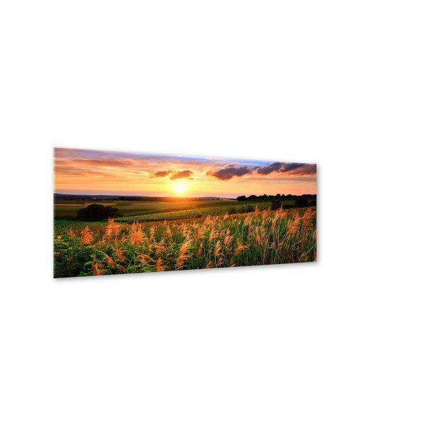 Immagine Vetro Prato al tramonto, 50 x 125 cm - Styler-image-1